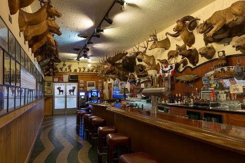 The restaurant is decorated with more than 300 animal heads