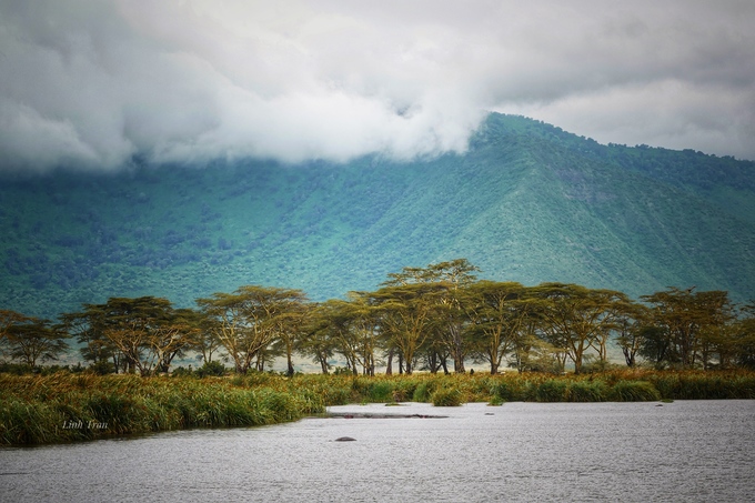 In the Tanzania grassland